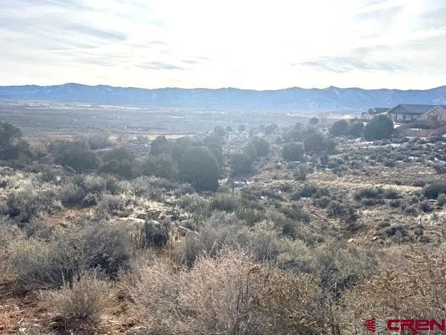 a view of a dry yard with mountains in the background