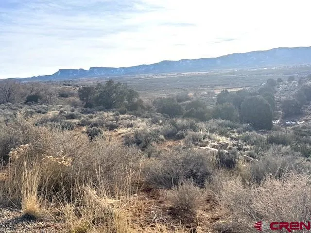an aerial view of houses covered in trees