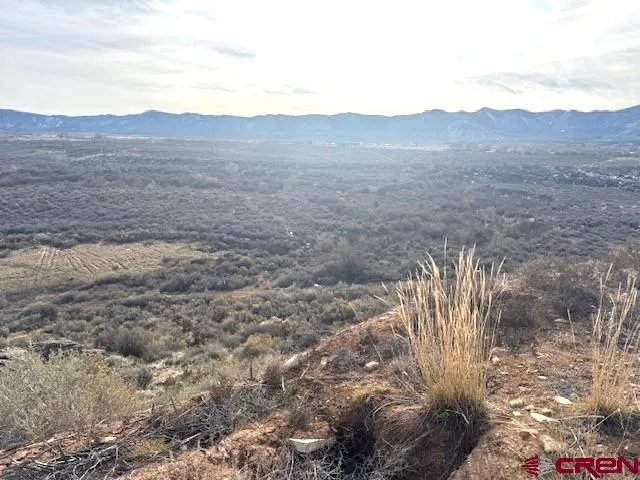 a view of an ocean beach