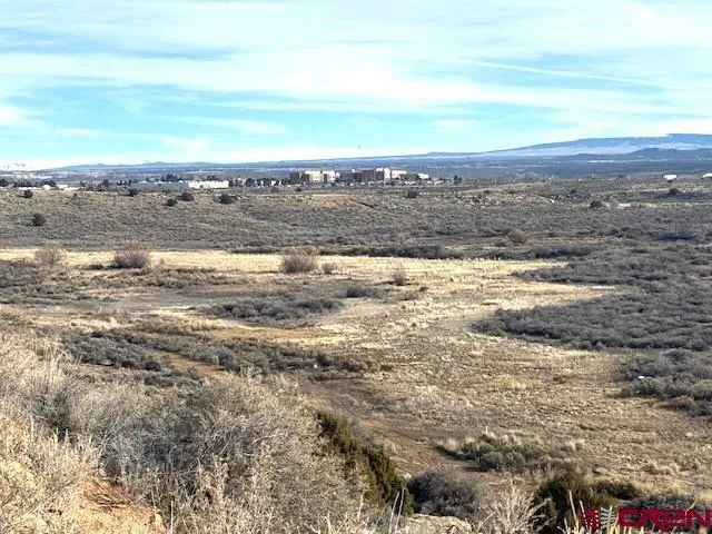 a view of a dry yard with green space