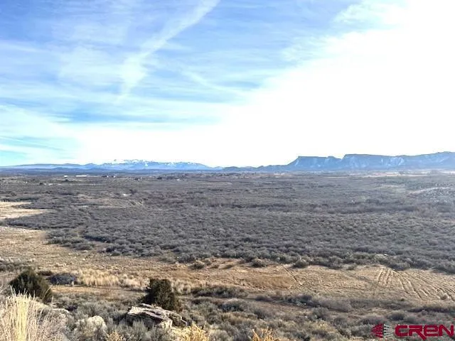 an aerial view of houses covered in trees