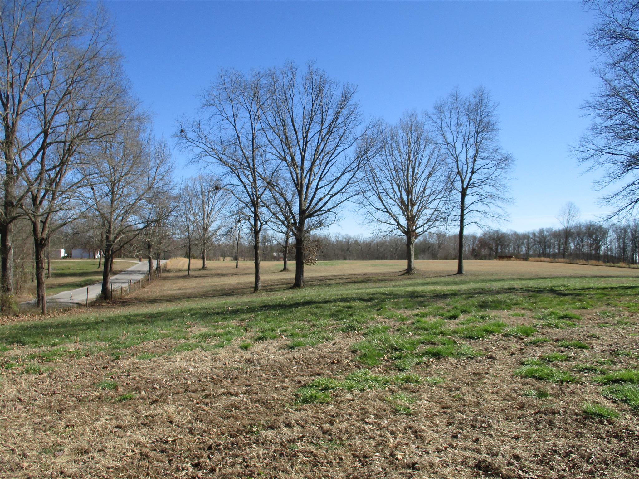3 Byrd Road Lawrenceburg, TN 38464 - Photo 2 of 9 Gallery Image 2