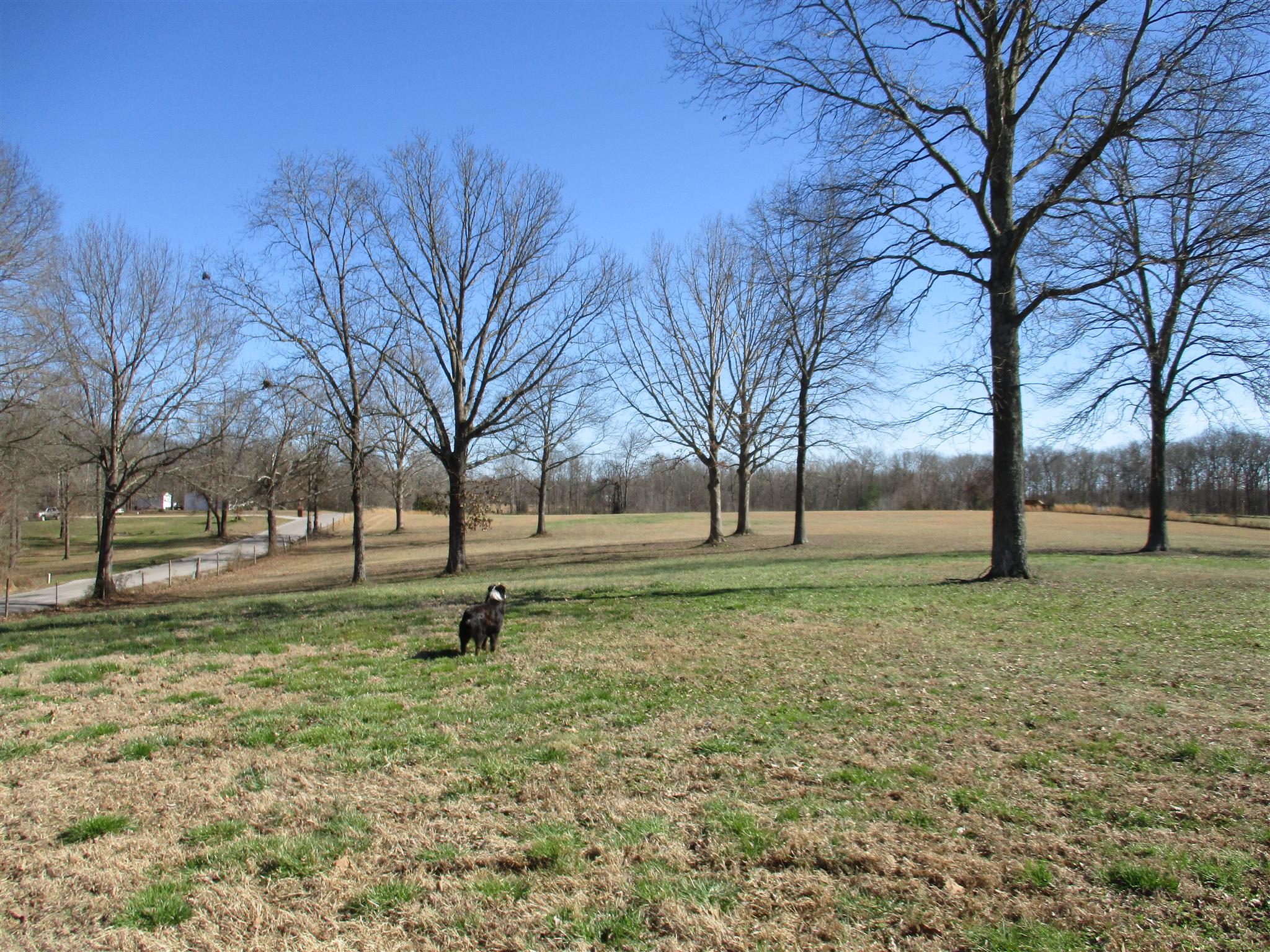 3 Byrd Road Lawrenceburg, TN 38464 - Photo 3 of 9 Gallery Image 3