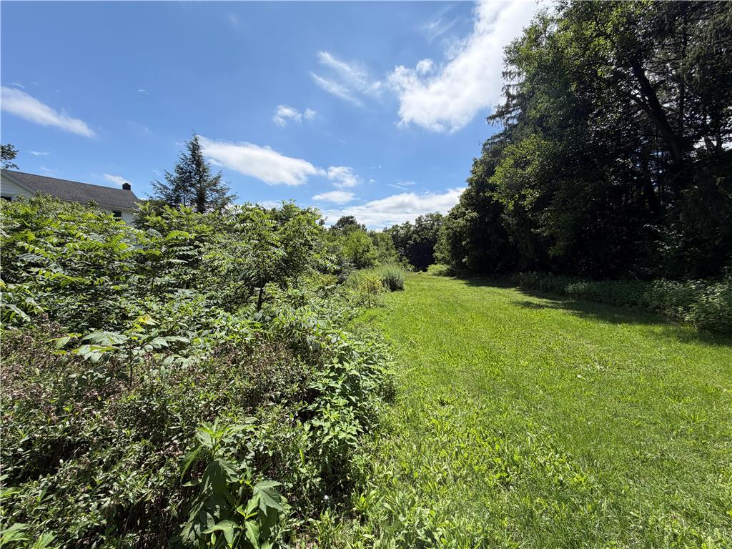 5720 Memorial Road Germansville, PA 18053 - Photo 27 of 30 A spacious green lawn extends towards a dense line of mature trees under a brilliant blue sky.