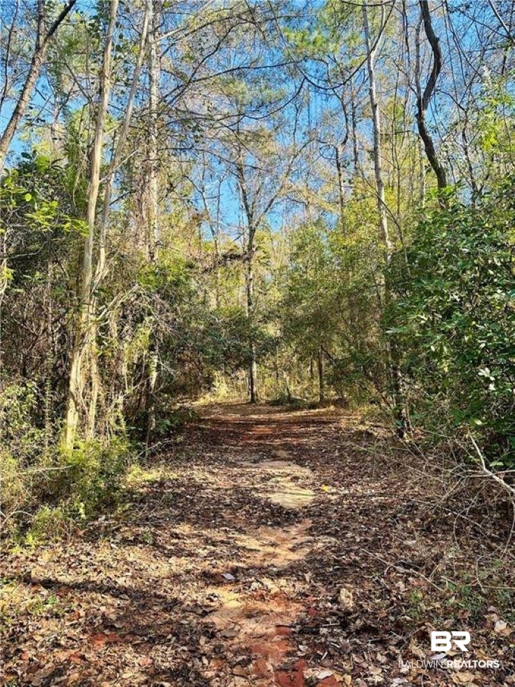 0 North Branson Drive Mobile, AL 36695 - Photo 2 of 20 View of landscape