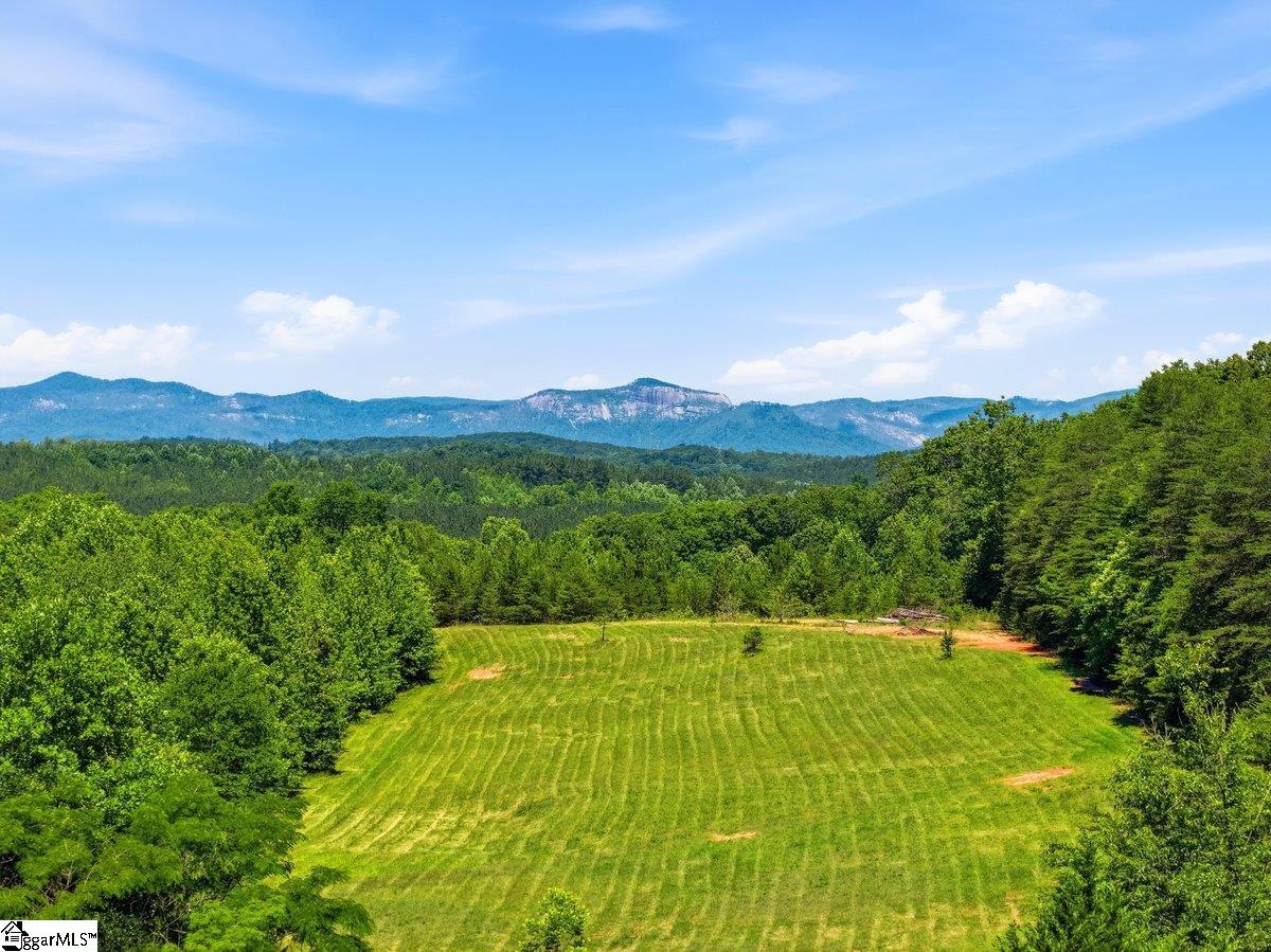 619 Little Pond Road Easley, SC 29640 - Photo 2 of 47
