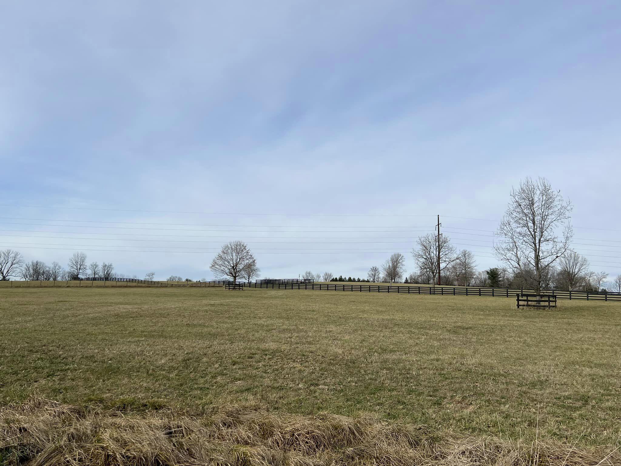 0 Bryan Station Road Paris, KY 40361 - Photo 12 of 12 BS6