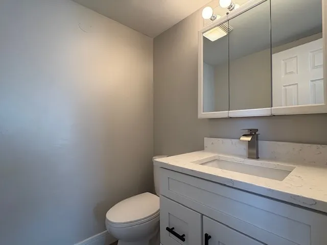 a bathroom with a sink a toilet and vanity