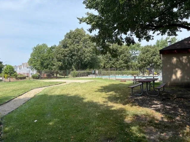 a view of a park with large trees