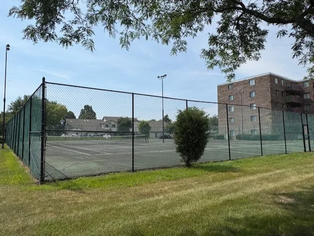 a view of a back yard