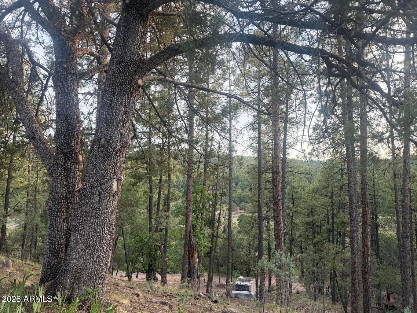 282 South Cienega Road Payson, AZ 85541 - Photo 5 of 17