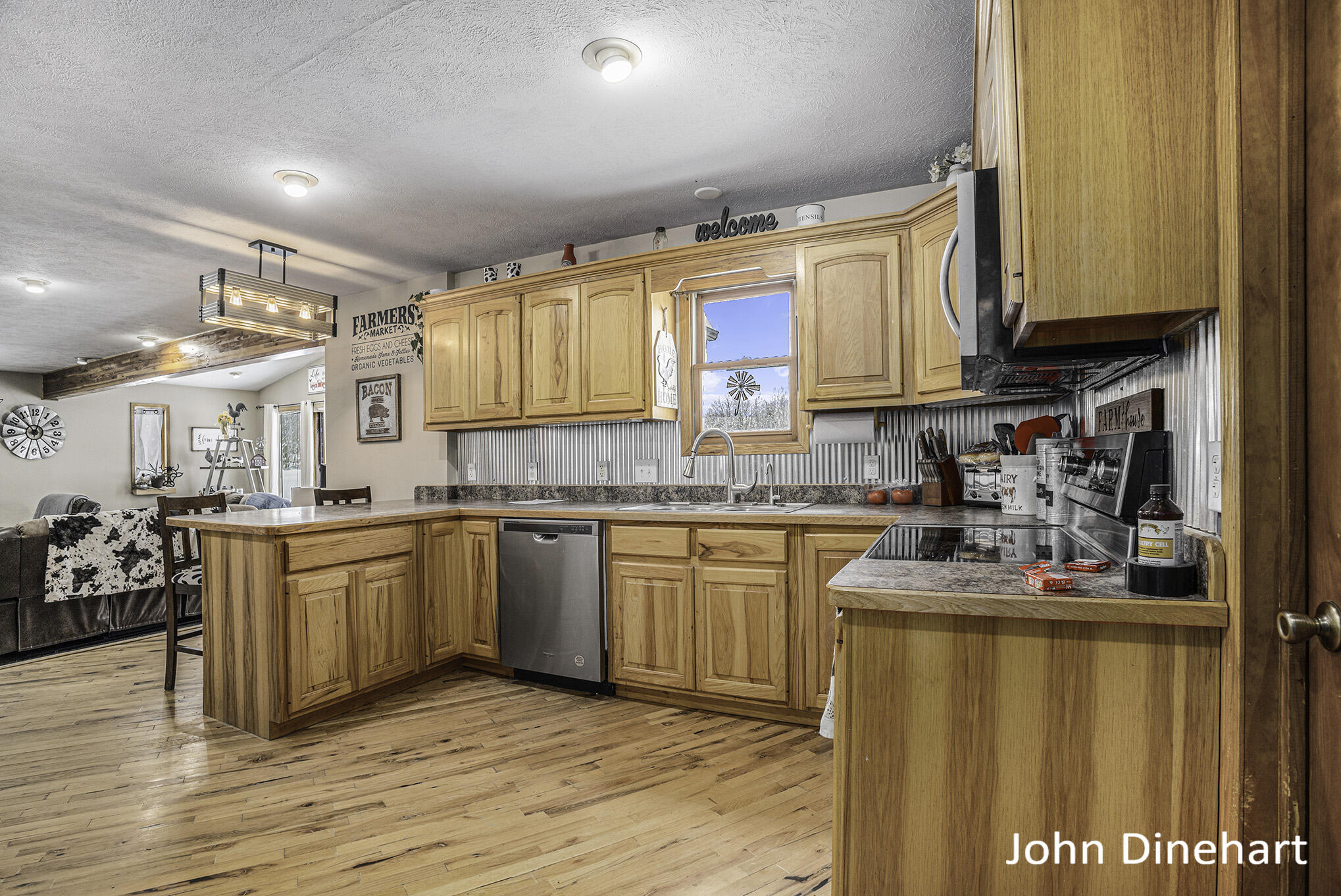 1101 Haynor Road Ionia, MI 48846 - Photo 15 of 35 212A7758