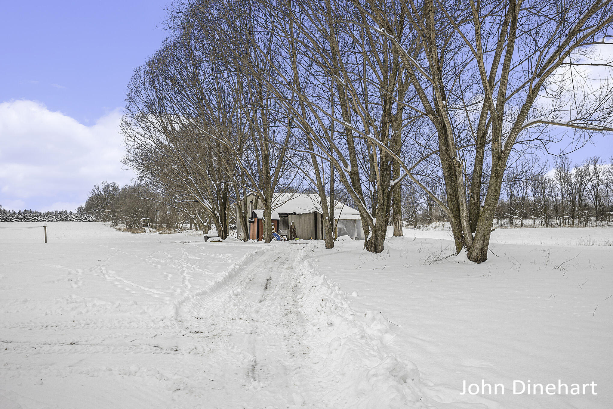 1101 Haynor Road Ionia, MI 48846 - Photo 5 of 35 212A7802