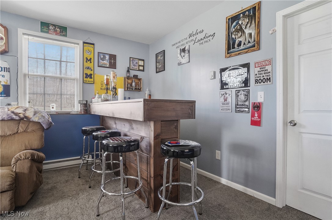 35977 Teegarden Road Salem, OH 44460 - Photo 29 of 50 Bar with a bar, baseboards, a baseboard radiator, and carpet