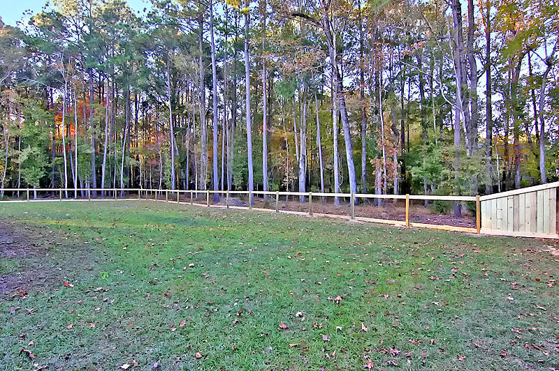536 Glady Road Moncks Corner, SC 29461 - Photo 27 of 32 IMG_9181-copy