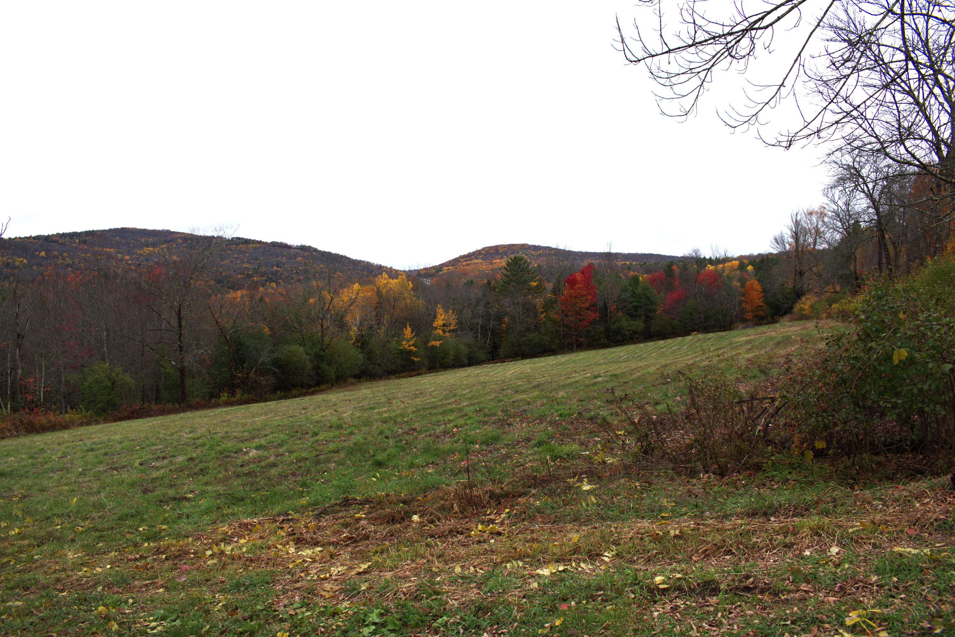 0 Old County Road Waterford, VT 05819 - Photo 19 of 38