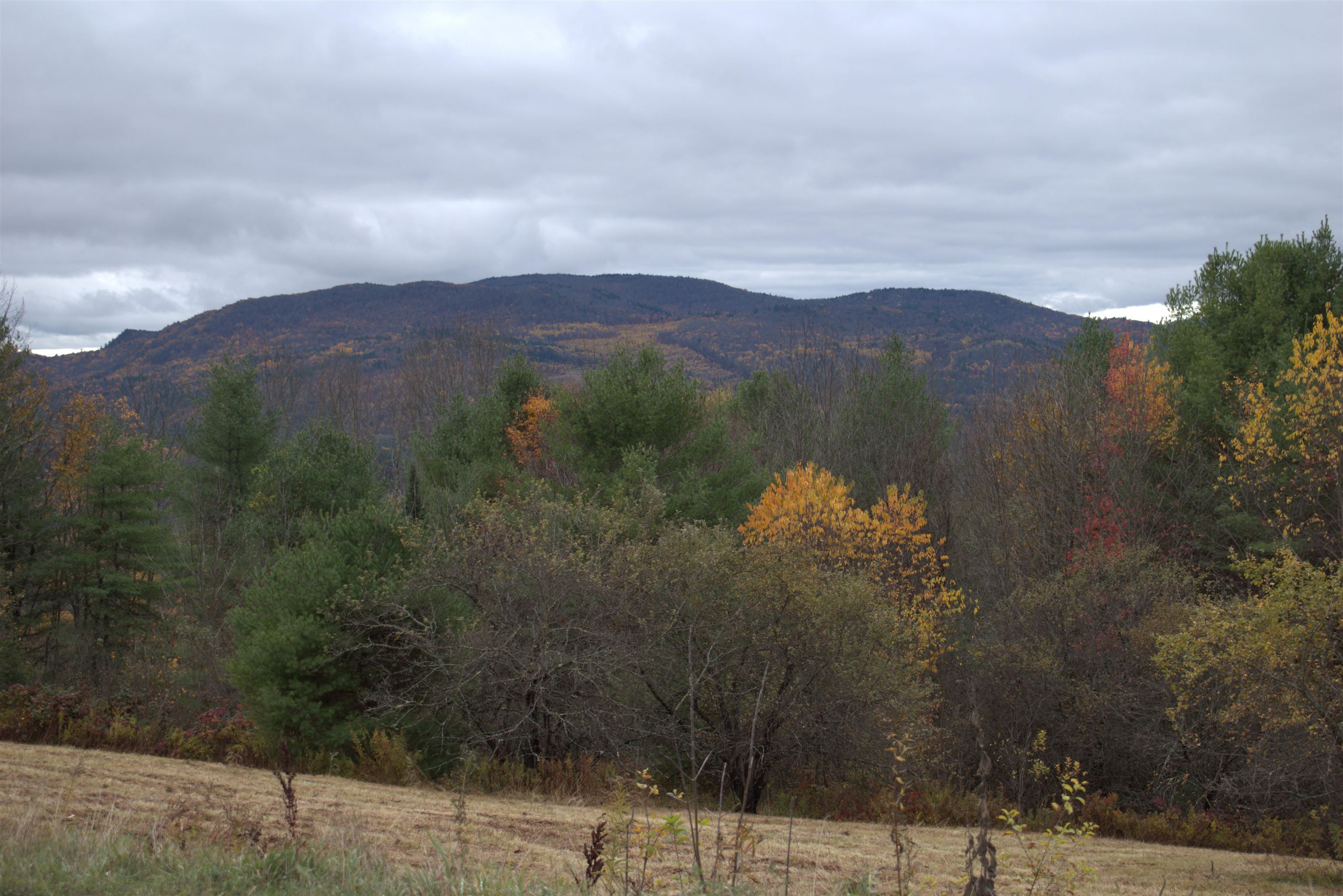 0 Old County Road Waterford, VT 05819 - Photo 10 of 38