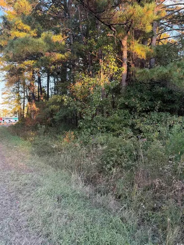 $225,000 | Lot 1-2 College Park Road, Conway, SC 29526