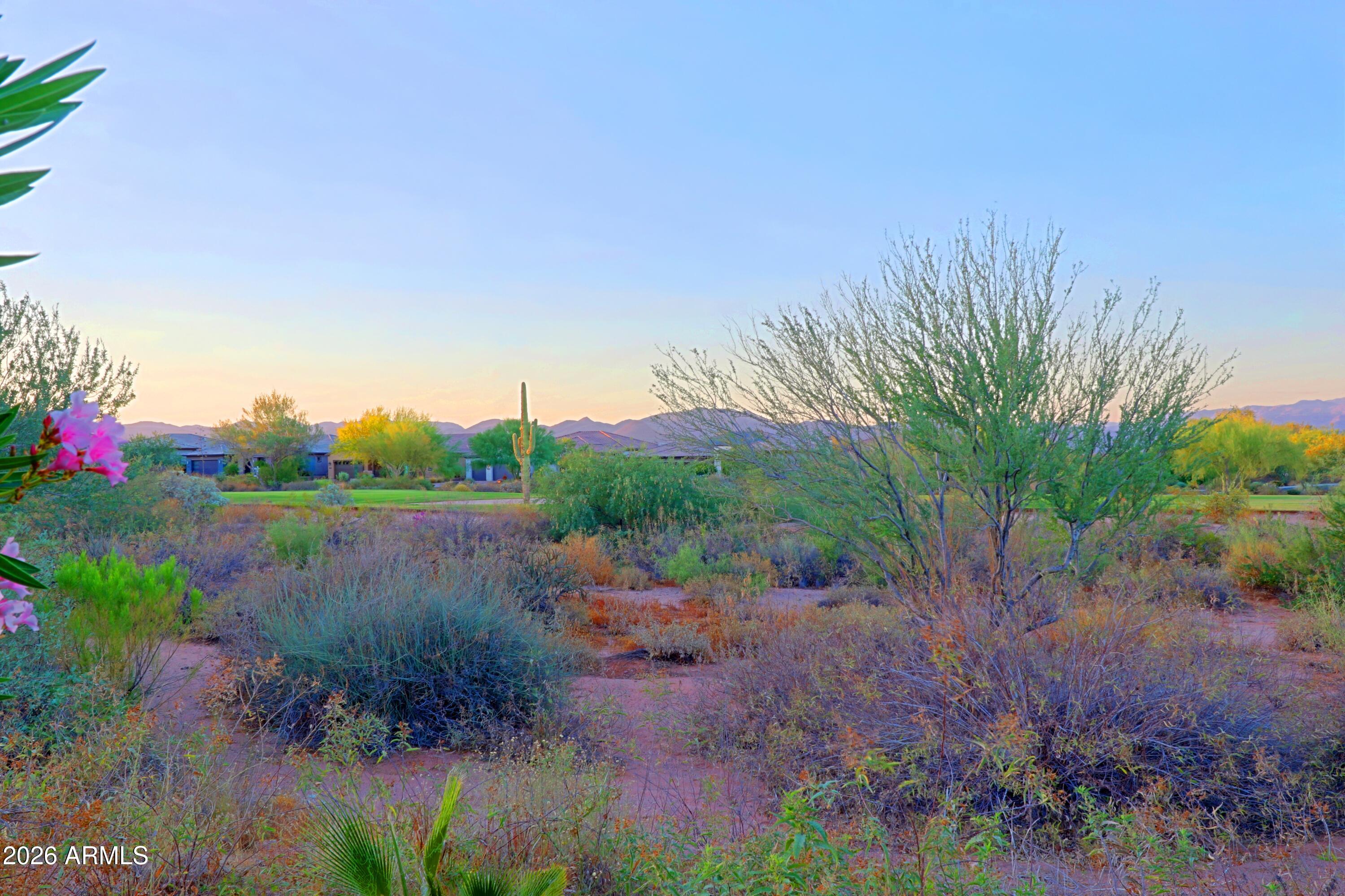 18028 East Vista Desierto Rio Verde, AZ 85263 - Photo 21 of 48