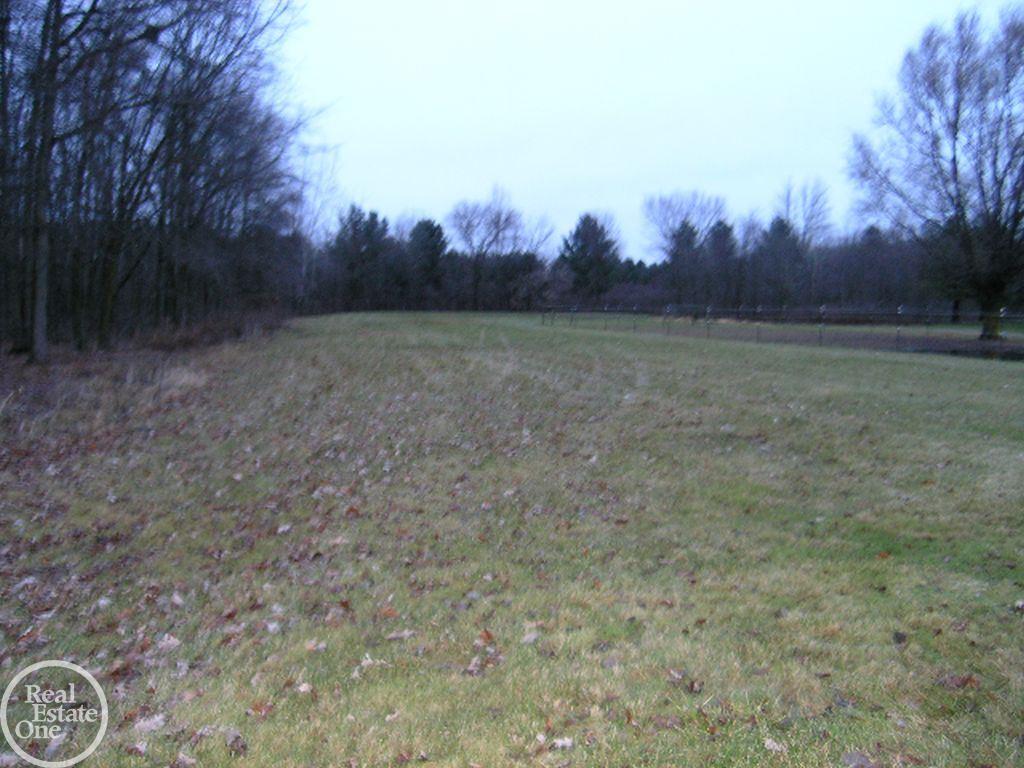 7560 Ravenswood Road Goodells, MI 48027 - Photo 34 of 36 31367615-33.JPG