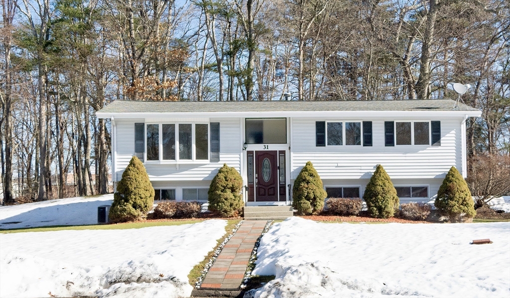 31 Spring Lane Sharon, MA 02067 - Photo 3 of 33 a front view of a house with a yard covered in snow