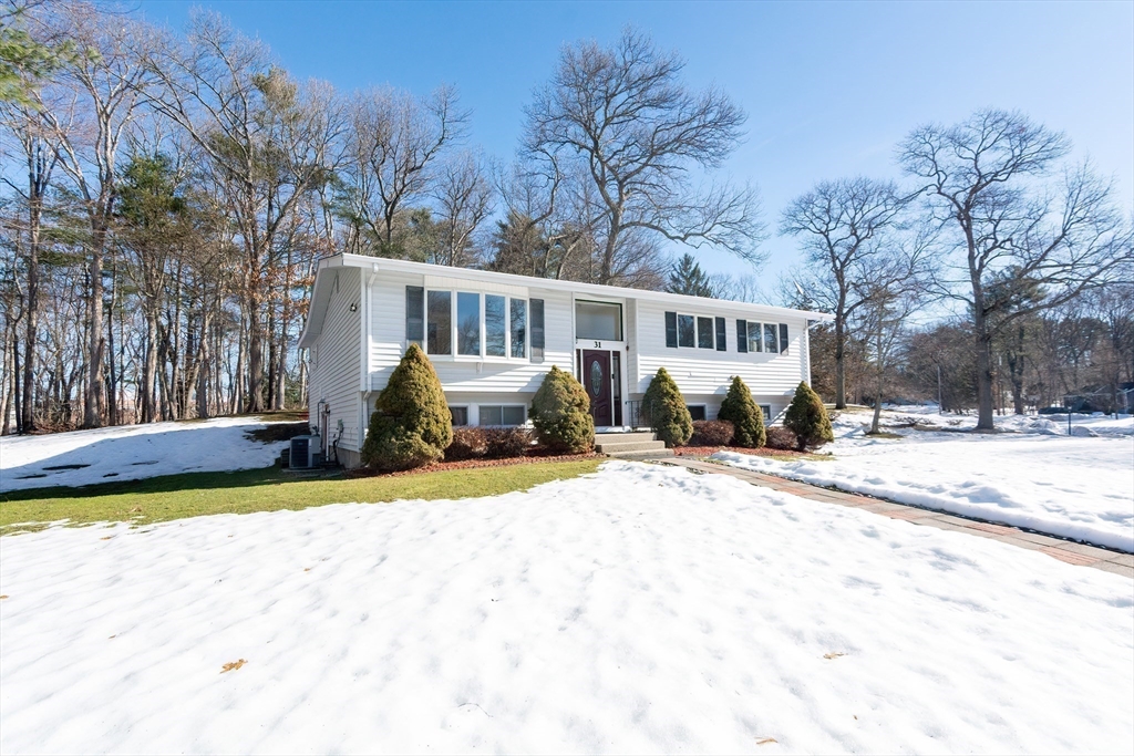 31 Spring Lane Sharon, MA 02067 - Photo 4 of 33 a view of a white house with a yard covered in snow