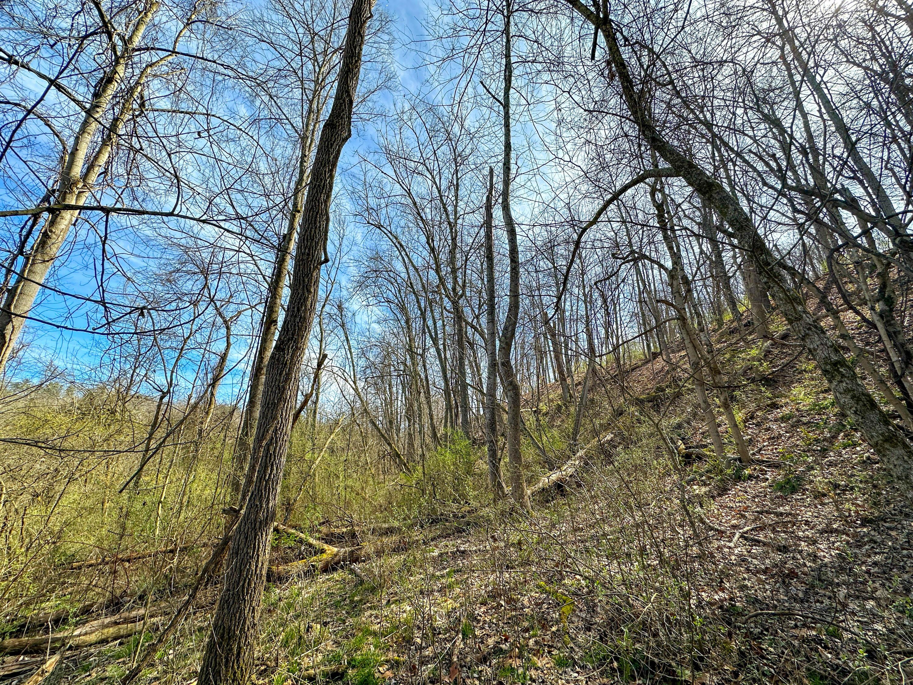 0 Rock Riffle Road Athens, OH 45701 - Photo 32 of 42 31-IMG_2066
