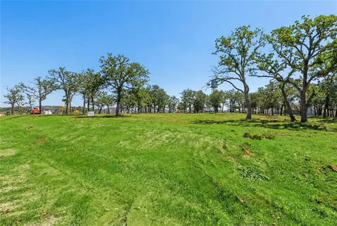 a grassy field with trees in the background