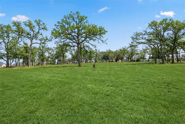 a grassy field with lots of trees