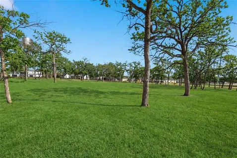 a view of a park with trees and grass