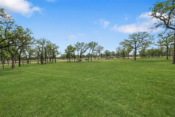 a grassy field with trees in the background