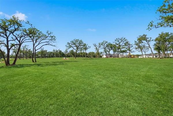a view of a grassy field with trees