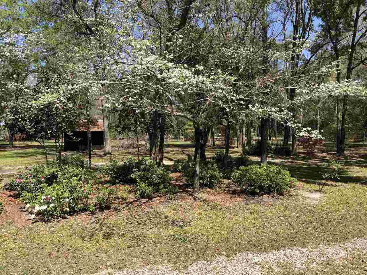 5011 Roping Lane Perry, FL 32347 - Photo 22 of 36