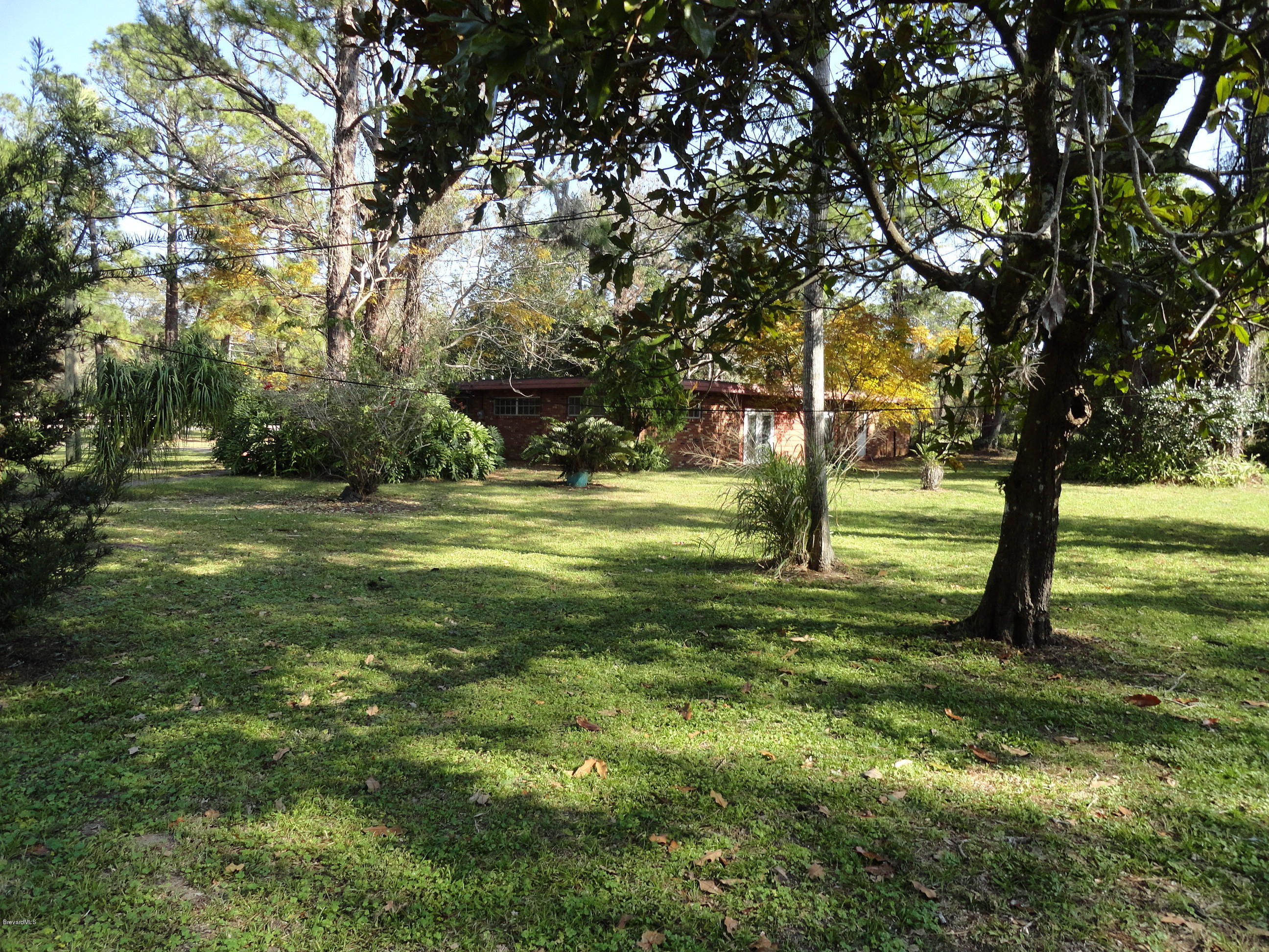 4037 Burkholm Road Mims, FL 32754 - Photo 21 of 23 Burkholm 025