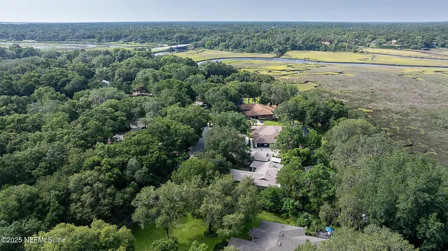an aerial view of ocean and trees