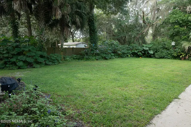 a view of a garden with a tree
