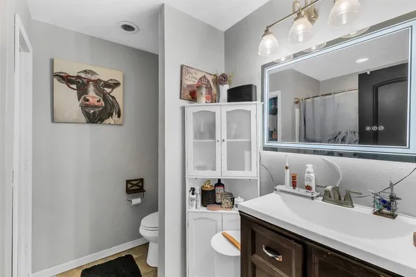 a bathroom with a sink a toilet and a mirror