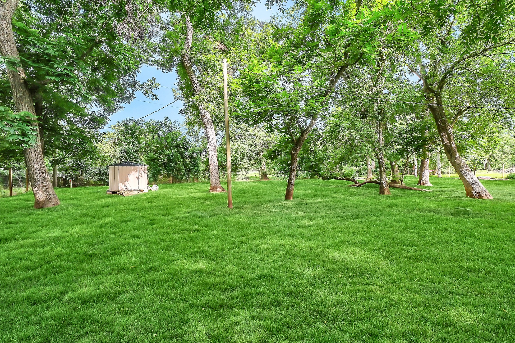 603 Hackamore Road Simonton, TX 77485 - Photo 17 of 21 a garden view