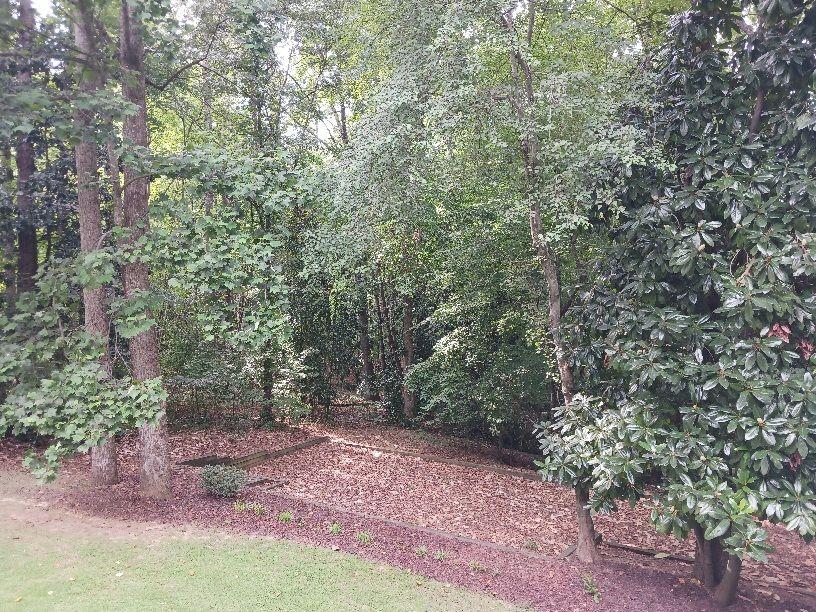 2663 Thompson Mill Road Buford, GA 30519 - Photo 9 of 65 Gallery Image 9