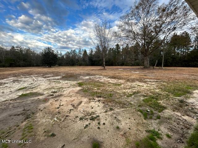 26305 Ivy Emerson Road Lucedale, MS 39452 - Photo 21 of 35 IMG_7105