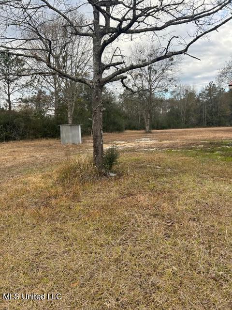 26305 Ivy Emerson Road Lucedale, MS 39452 - Photo 32 of 35 IMG_7119