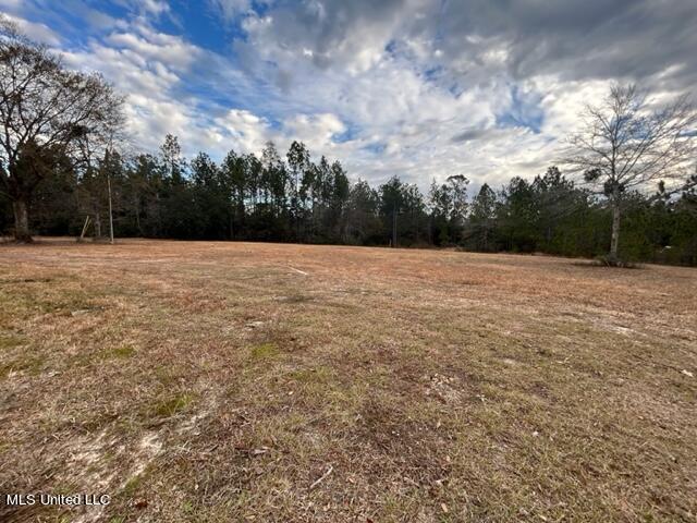 26305 Ivy Emerson Road Lucedale, MS 39452 - Photo 33 of 35 IMG_7120