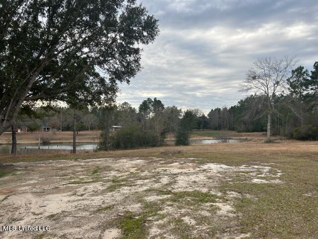 26305 Ivy Emerson Road Lucedale, MS 39452 - Photo 35 of 35 IMG_7084 (002)