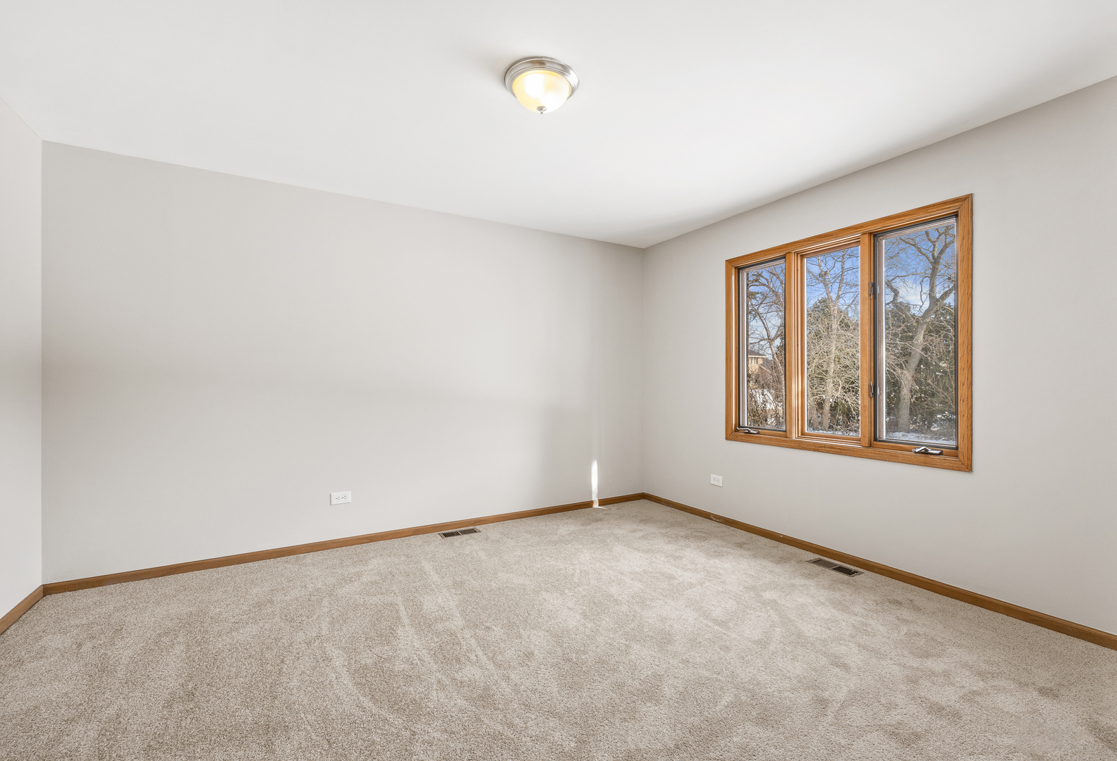 13035 Parker Road Lemont, IL 60439 - Photo 24 of 50 Gallery Image 24