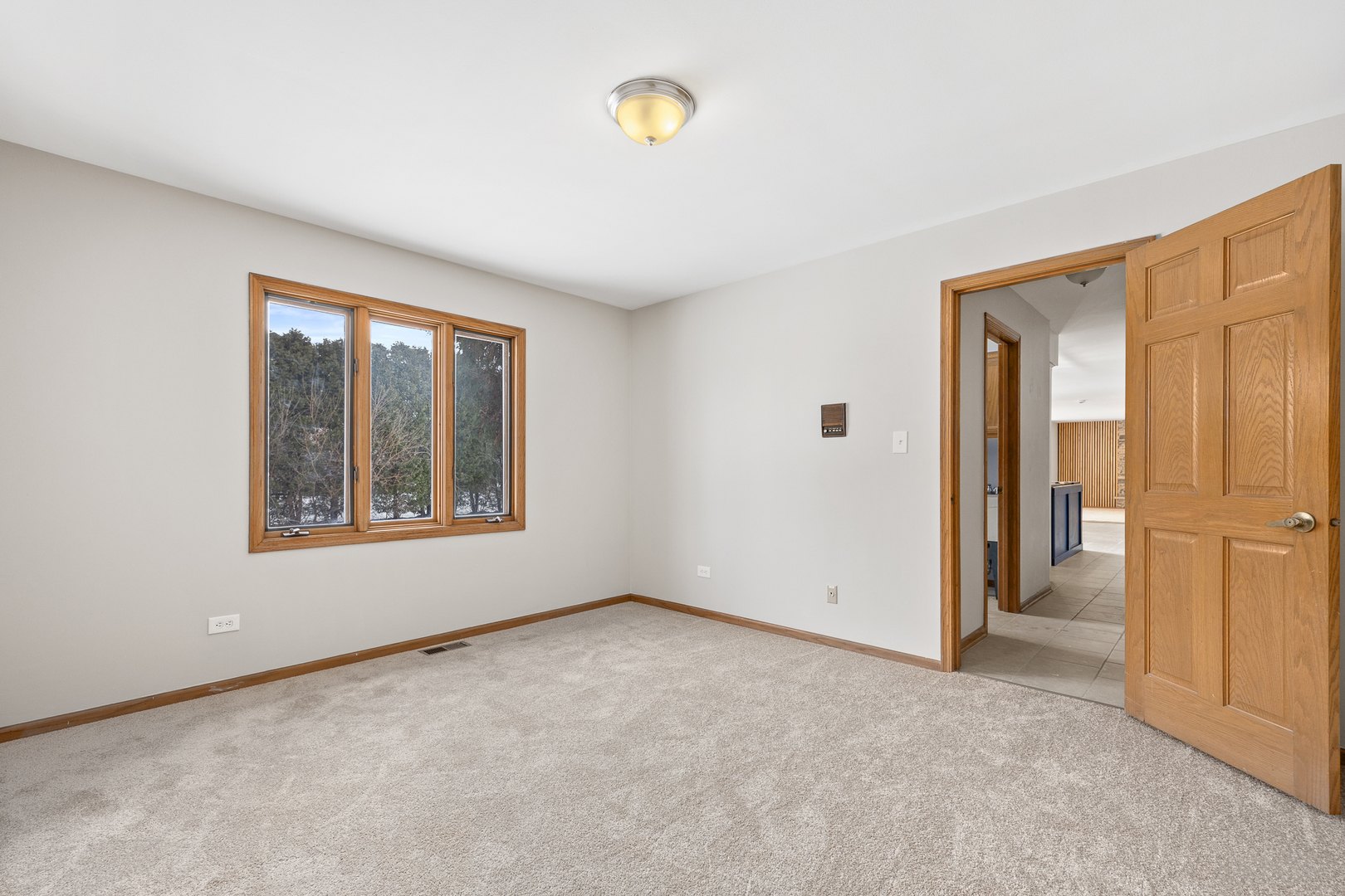 13035 Parker Road Lemont, IL 60439 - Photo 25 of 50 Gallery Image 25