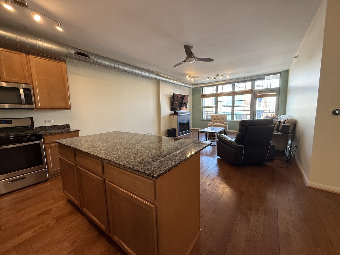 1200 West Monroe Street, Unit 502 Chicago, IL 60607 - Photo 9 of 15