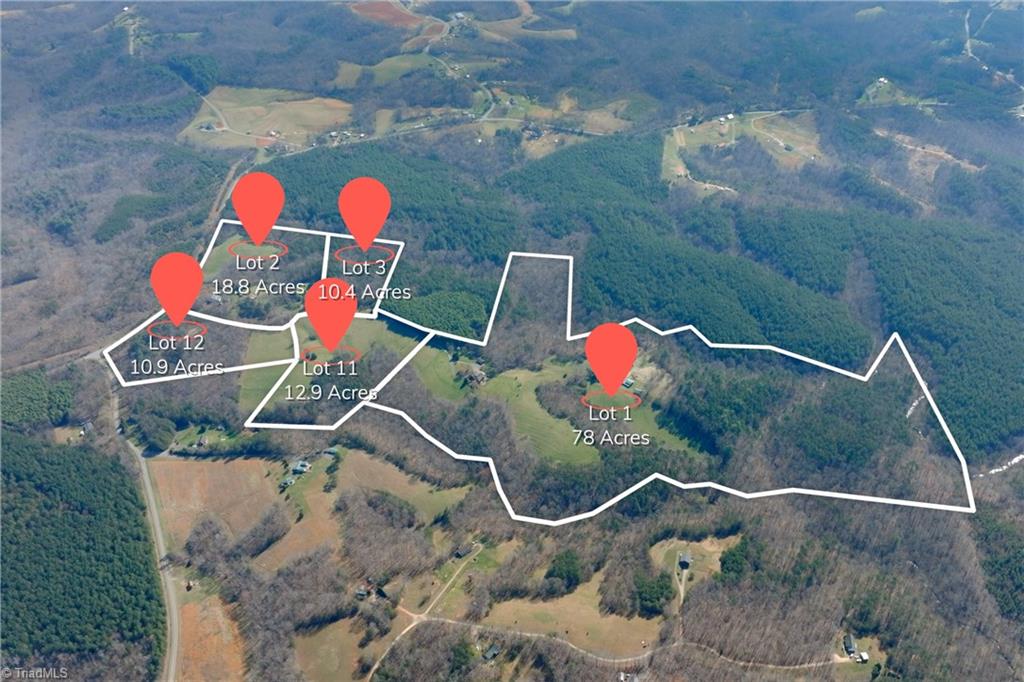 1019-11 George Road Westfield, NC 27053 - Photo 13 of 20