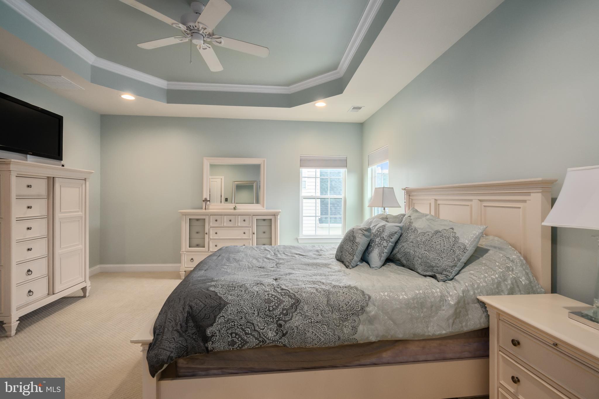 3939 Salome Road Doylestown, PA 18902 - Photo 22 of 32 Large Master with walk in closet and tray ceiling