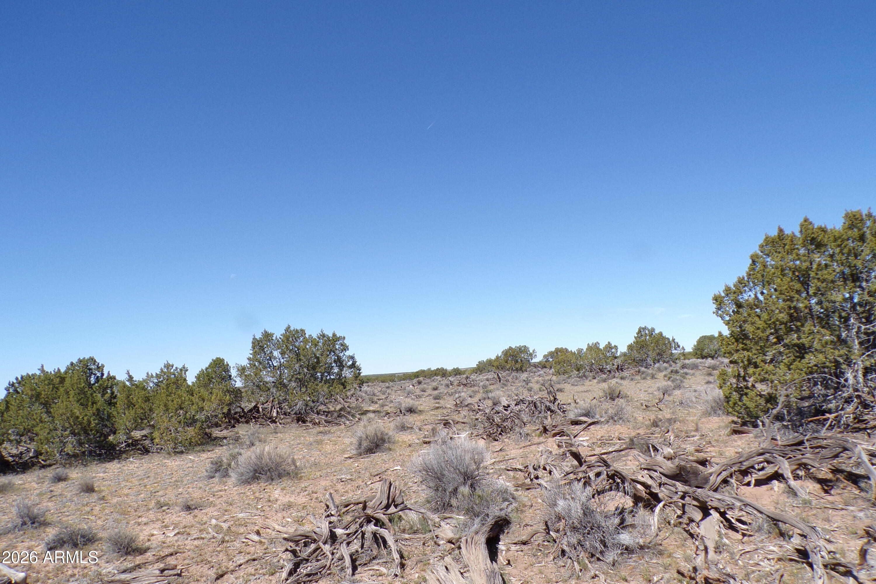 0 Ranch Road Sanders, AZ 86512 - Photo 17 of 42 a view of a dry field