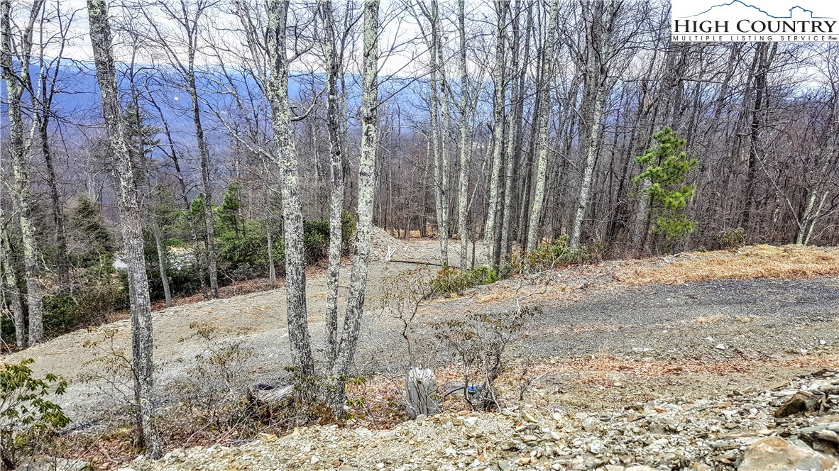 389 Rock Cliff Road Boone, NC 28607 - Photo 7 of 9 Gallery Image 7